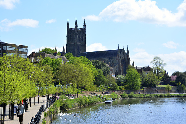 Worcester 2013 – Cathedral