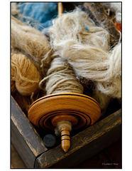 Wool and Spindle