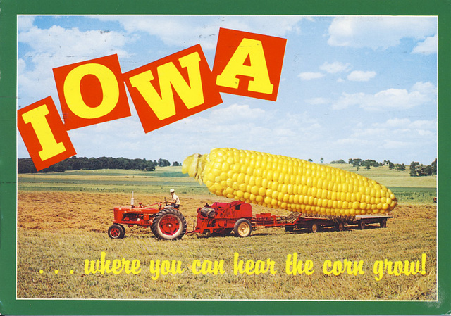 Iowa Corn