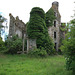 Rothie Castle, Aberdeenshire (74)
