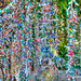 Dali Museum Wish Tree - People write wishes on pieces of paper and attach to the tree.  This image was taken on a windy day which added to the movement of the wishes.