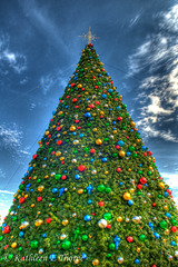 Beach Drive Christmas Tree