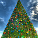 Beach Drive Christmas Tree