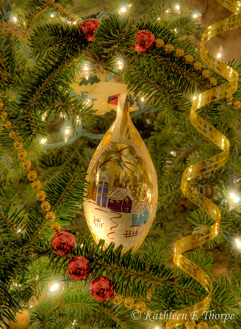 Christmas Ornament on Our Tree 2012