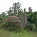 Rothie Castle, Aberdeenshire (77)