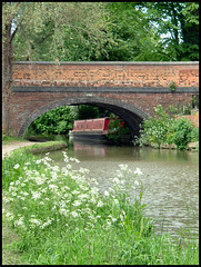 spring at Walton Well Bridge