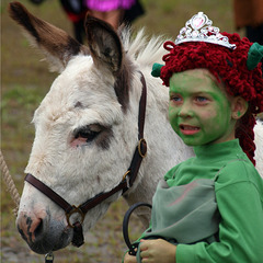 Donkey & Fiona