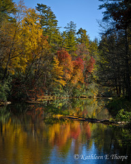 Linville Creek Autumn Reflection