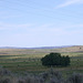 South Central Oregon (2506)