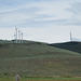 Thief Valley, OR 0918a