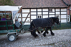 20121008 1566RWw [D~LIP] Pferde-Kutschfahrt