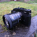Fuji X-E1 & Nikon 85mm f1.8 + Novoflex + Fuji M Mount adaptor