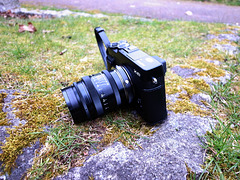 Fuji X-E1 & FED Jupiter 9 85mm f2.0 + Leica LTM-M + Fuji M mount adaptor