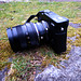 Fuji X-E1 & Leica Elmarit 60mm f2.8R mount  + Leitax + Novoflex + Fuji M mount adaptor