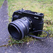 Fuji X-E1 & Nikon 50mm f1.8 + Novoflex + Fuji M Mount adaptor