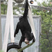 Bonobo im Außengehege (Wilhelma)