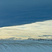 Chinook arch