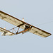 Eon Primary glider (b)