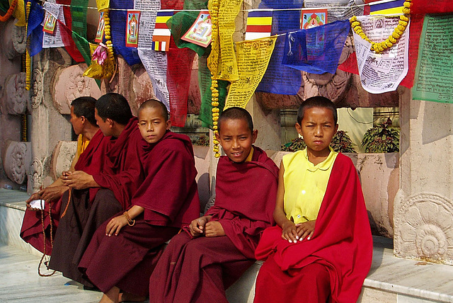 Petits moines à l'intérieur du cercle de déambulation (Temple de Mahabodhi) (Bodh-Gaya, Bihar, Inde)