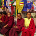 Petits moines à l'intérieur du cercle de déambulation (Temple de Mahabodhi) (Bodh-Gaya, Bihar, Inde)