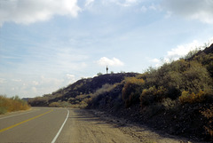 15-saguaro_ig_adj
