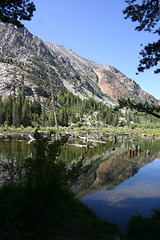 Beaver pond in Lundy Canyon
