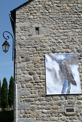 A Rieutord d'Aubrac (Lozère, région Languedoc-Roussillon, France)