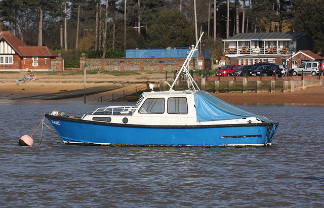 Boat, Felixstowe, Suffolk, England