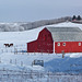 Nothing like a red barn in winter