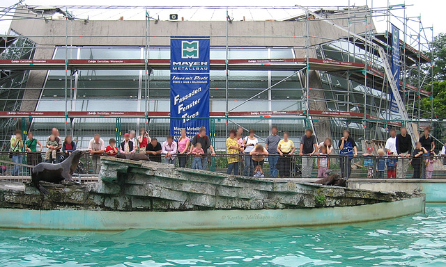 Baustelle Krokodilhalle - 2005 (Wilhelma)