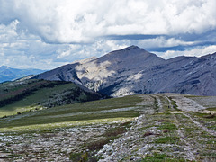 Near north end of Plateau Mt. Ecological Reserve