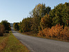 A country road in fall colours