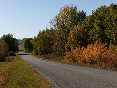 A country road in fall colours