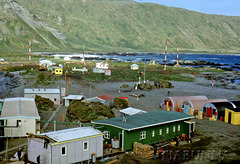 ANARE Station at Macquarie Island, December 1967