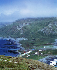 Macquarie Island station from North Head