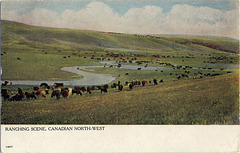 Ranching Scene, Canadian North-West