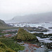 Macquarie Island 1968: Toward the station from the west coast of North Head.