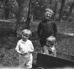 Grossenbach kids; Carl, Doris and Dick (44)