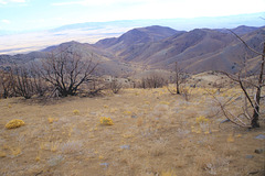 View of Burnt Canyon