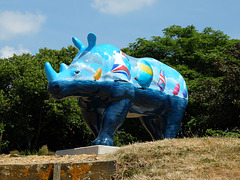 Go! Rhinos_001 - 14 July 2013