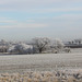 A frosty landscape