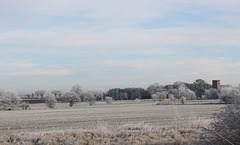 A frosty landscape