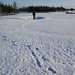 Snowy footprints crossing Newton Golf Course, Suffolk, England.