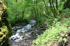Bridalveil Creek