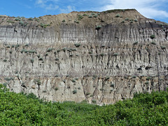 Cliff erosion, Horseshoe Canyon