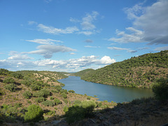 Rio Tajo en el parque natural de Monfragüe en Cáceres