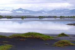 Djupivogur coastal wetlands