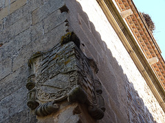 Escudo y cornisa en Cáceres