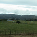 Tauranga and Rotorua, NZ, 22 Jan 2012