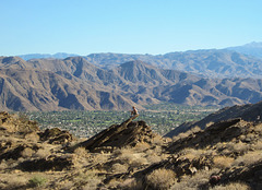 Lykken Trail Palm Springs (3844)